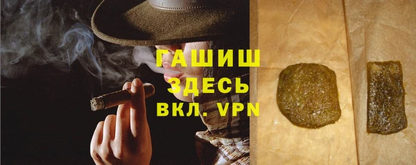 крисы Богородицк