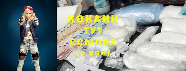 крисы Богородицк