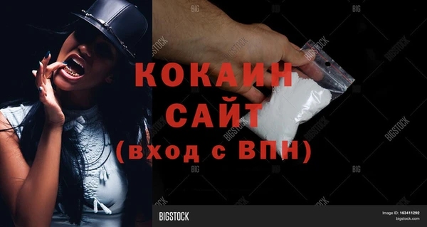 крисы Богородицк