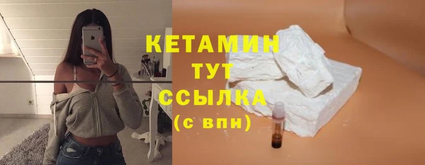 крисы Богородицк