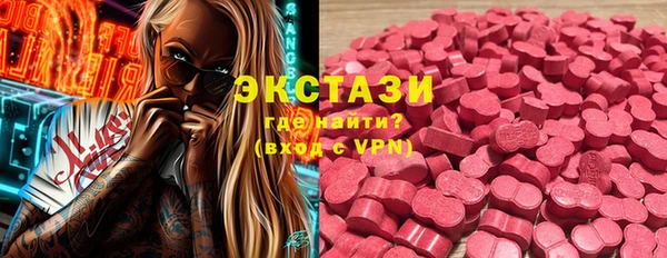 крисы Богородицк
