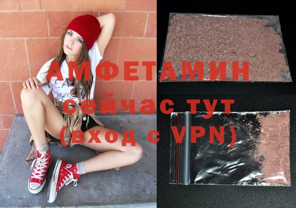 крисы Богородицк