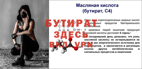 крисы Богородицк