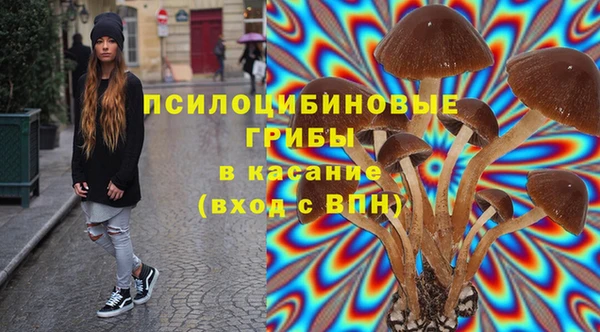 герыч Богородск