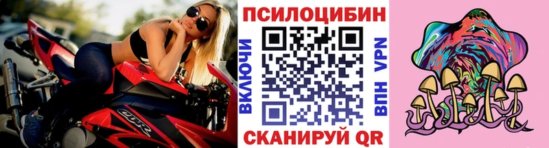 наркотики Дмитровск Галлюциногенные грибы GOLDEN TEACHER