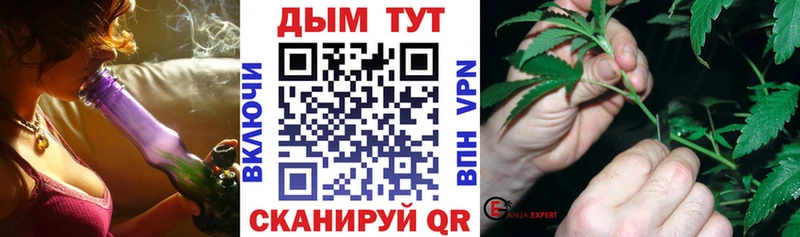 Конопля OG Kush  где найти наркотики  блэк спрут зеркало  Дмитровск 
